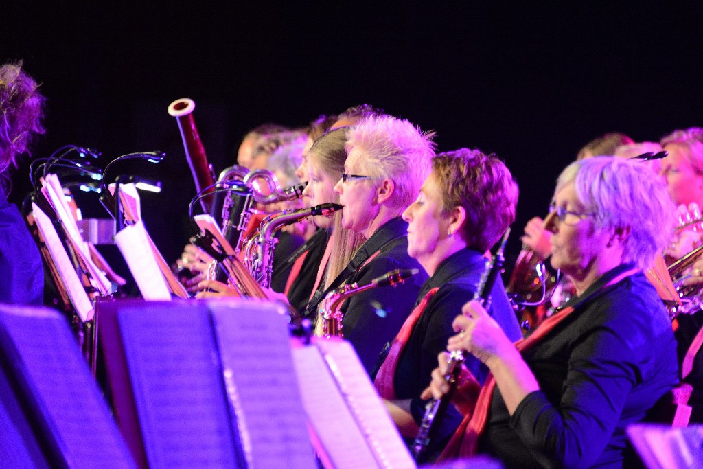 ../Images/Jubileumconcert 100 jaar Harpe Davids 242.jpg